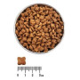 Сухой корм для собак средних и крупных пород Екко Гранула с индейкой четырехлистник 10 кг