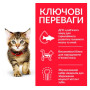 Сухой корм для котят Hill's Science Plan Kitten с курицей, 300 г