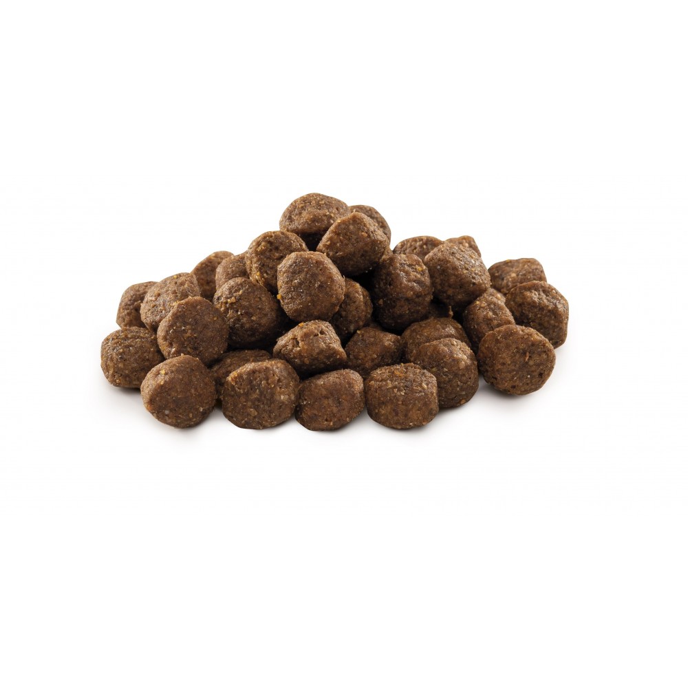 Сухой корм Brit Premium Dog Junior S для щенков и молодых собак мелких пород со вкусом курицы 8 кг