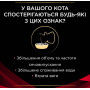 Вологий корм для кішок Purina Veterinary Diets DM - Diabetes Management Feline при цукровому діабеті 195 г