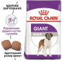 Сухий корм Royal Canin Giant Adult для дорослих собак гігантських порід, 4 кг