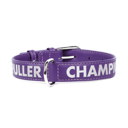 Ошейник DOG PULLER CHAMPION (ширина 25мм, длина 38-49см) фиолетовый