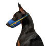 Намордник для собак WAUDOG Nylon, рисунок "Colors of freedom", пластиковый фастекс, размер L, О 25-34 см