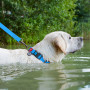 Ошейник для собак водостойкий WAUDOG Waterproof c QR-паспортом, пластиковая пряжка-фастекс, Ш 25 мм, Дл 38-58 см голубой