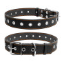 Ошейник для собак "CoLLaR" безразмерный (ширина 35мм, длина 69см) черный