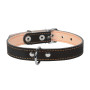Нашийник "CoLLaR" для собак подвійний (ширина 14мм, довжина 27-35см) чорний