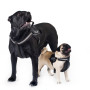Шлея "Dog Extreme" "POLICE" №2 (В:40-60см) черный