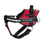 Шлея "Dog Extreme" "POLICE" №4 (с фонариком), (В:70-100см) красный