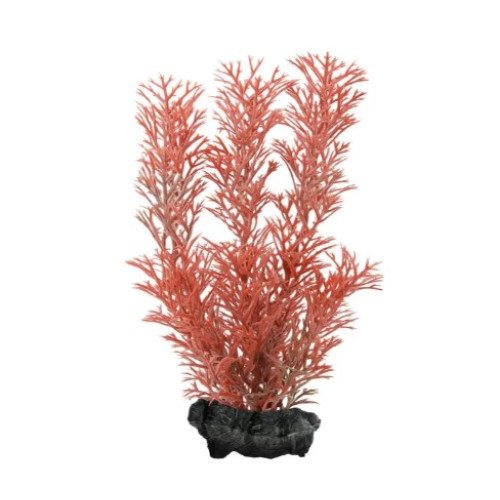 Декоративное растение Tetra для аквариумов DecoArt Plant RED FOXTAIL пластиковое красное размер S маленькое 15 см 