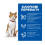 Сухой корм Hill's Science Plan Adult Sterilised Cat Salmon для взрослых стерилизованных кошек, с лососем, 10 кг