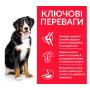 Сухий корм Hill’s Science Plan Adult Large Breed для дорослих собак великих порід, з ягням та рисом, 14 кг