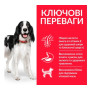 Сухий корм Hill’s Science Plan Adult Medium Breed для дорослих собак середніх порід, з ягням та рисом, 14 кг