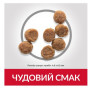 Сухой корм Hill's Science Plan Puppy Small & Mini Chicken для щенков малых пород, с курицей, 300 г