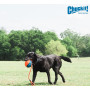 Іграшка для собак CHUCKIT! ROPE FETCH легкий м’яч на мотузці, 13 см