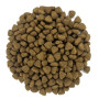 Сухой корм для стерилизованных кошек Dolina Noteci Rafi Cat Sterilized с лососем 1,5 кг