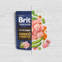 Влажный корм Brit Premium Fillets in Gravy Chicken & Green Peas для собак малых пород, филе в соусе, курица и зеленый горошек, 85 г