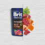 Вологий корм Brit Premium Fillets in Gravy Beef&Carrot для собак малих порід, філе в соусі, яловичина і морква, 85 г