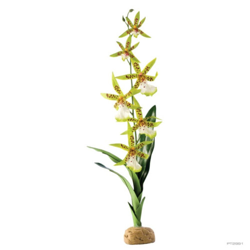 Растение ExoTerra Spider Orchid для террариума, пластик, 6,5x45x5 см