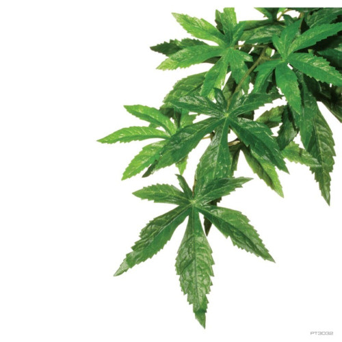 Растение ExoTerra Abutilon Silk для террариума пластик, текстиль, 15x32x4 см