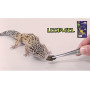 Корм для насекомоядных рептилий, гекконов, хамелионов и других HIKARI HERPTILE LEOPAGEL - 60г