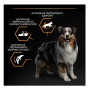 Сухий корм Purina Pro Plan Medium Adult 1+ Everyday Nutrion для дорослих собак середніх порід з куркою, 14 кг + 2.5 кг