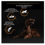 Сухий корм для дорослих собак великих порід з чутливим травленням Purina Pro Plan Large Athletic, з куркою, 14 кг + 2.5 кг