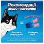 Вологі ласощі Felix DeliMoments для дорослих котів, снеки з лососем, 4 шт х 10 г