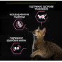 Сухой корм Purina Pro Plan Sterilised Adult 1+ Delicate Digestion для стерилизованных кошек с чувствительным пищеварением, со вкусом курицы, 400 г