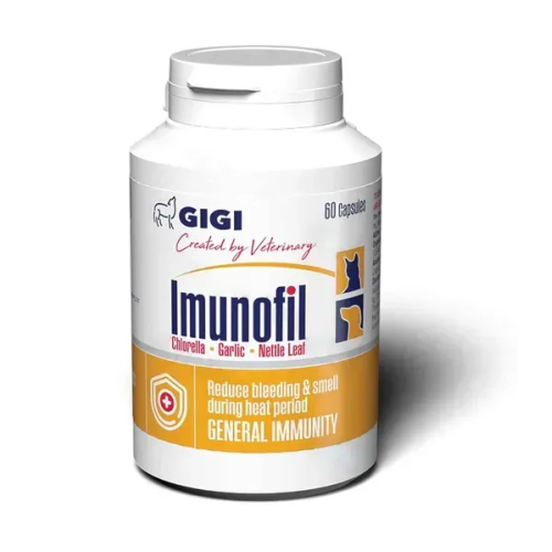 GiGi Imunofil N60 caps / Імунофіл N60 (капс.)