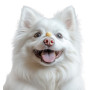 Лакомство WAUDOG Treats для собак, хрустящие сырные шарики, 30 г