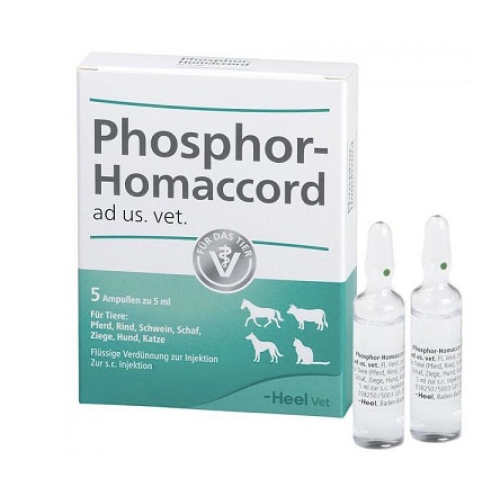 Гомеопатичний препарат для тварин BIOLOGISCHE HEILMITTEL HEEL Фосфор Гоммакорд (розчин) 1 ампула 5 мл
