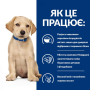 Сухой корм для щенков Hill's PRESCRIPTION DIET Derm Complete при пищевой аллергии и атопическом дерматите, с рисом и яйцом, 1,5кг