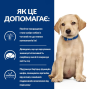 Сухой корм для щенков Hill's PRESCRIPTION DIET Derm Complete при пищевой аллергии и атопическом дерматите, с рисом и яйцом, 1,5кг