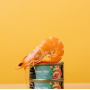 Вологий корм для дорослих котів Savory Chicken Fillets rich in Shrimp in Jelly for Adult Cats філе курки з креветками в желе - 70 г