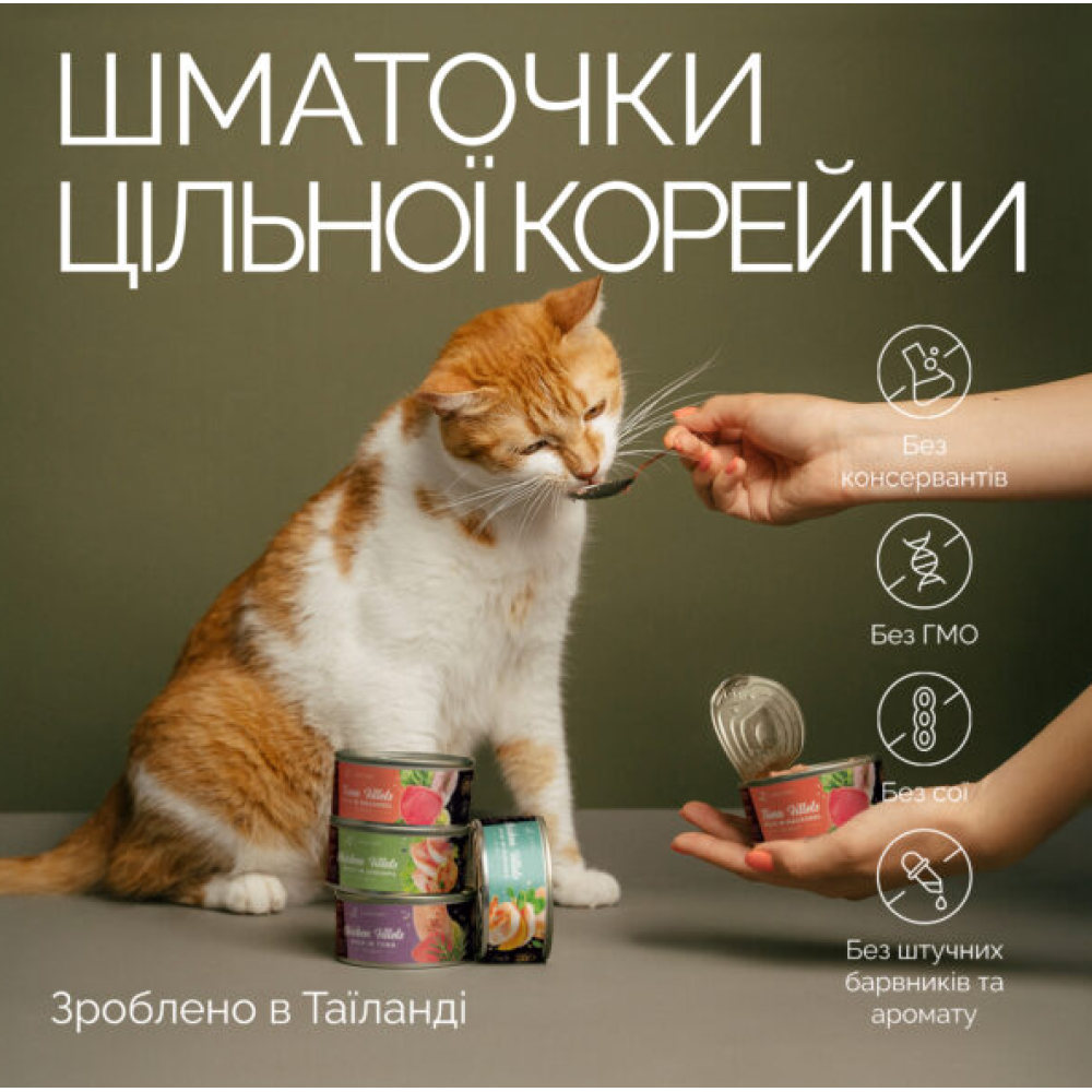 Вологий корм для дорослих котів Savory Tuna Fillets rich in Mackerel in Jelly for Adult Cats філе тунця з макреллю в желе - 70 г