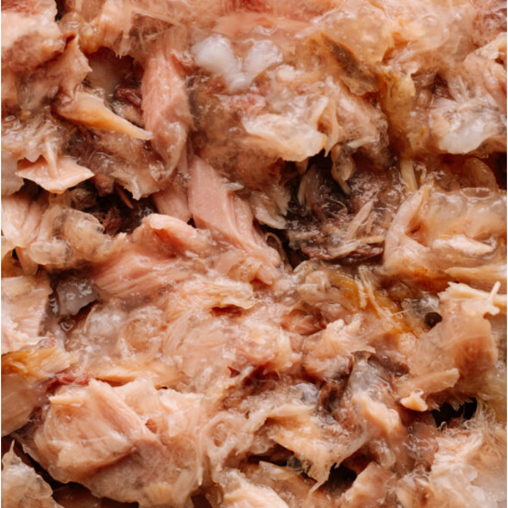 Вологий корм для дорослих котів Savory Tuna Fillets rich in Mackerel in Jelly for Adult Cats філе тунця з макреллю в желе - 70 г