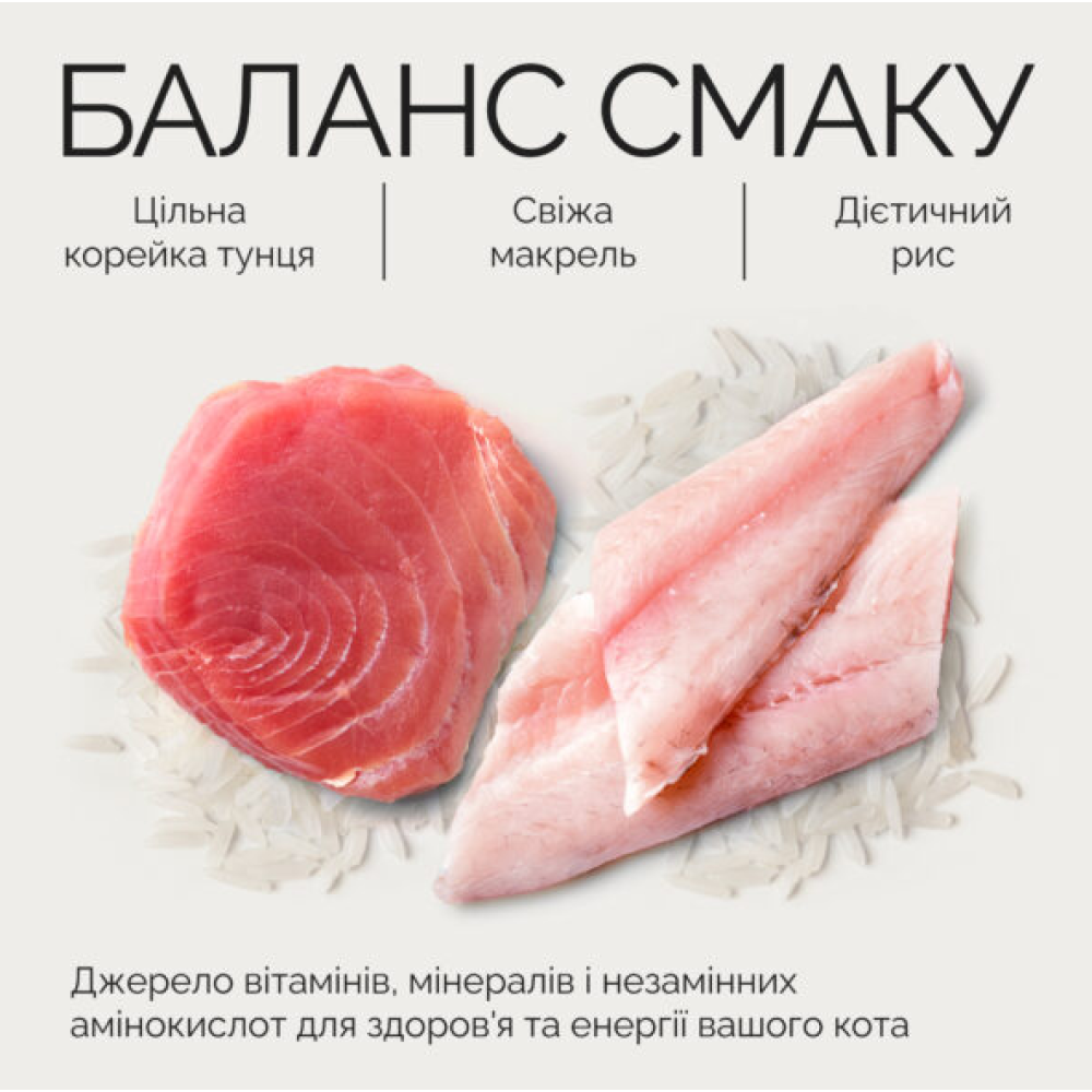 Вологий корм для дорослих котів Savory Tuna Fillets rich in Mackerel in Jelly for Adult Cats філе тунця з макреллю в желе - 70 г