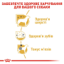 Сухой корм для взрослых собак породы пудель ROYAL CANIN POODLE ADULT (здоровье шерсти) 1,5кг