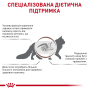 Вологий корм для дорослих котів Royal Canin GASTROINTESTINAL FIBRE RESPONSE CAT (при розладах травлення) шматочки в соусі, пауч 12 шт по 85 г