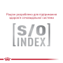 Вологий корм для дорослих котів Royal Canin GASTROINTESTINAL FIBRE RESPONSE CAT (при розладах травлення) шматочки в соусі, пауч 12 шт по 85 г