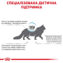 Сухий корм для котів Royal Canin Skin & Coat (здоров'я шкіри та шерсті) 1,5кг