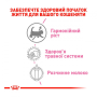 Замінник молока для кошенят Royal Canin (Роял Канін Бебі Мілк) Babycat Milk - 300г