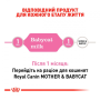 Замінник молока для кошенят Royal Canin (Роял Канін Бебі Мілк) Babycat Milk - 300г