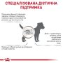 Сухий корм для собак Royal Canin GASTROINTESTINAL LOW FAT SMALL DOG (при порушеннях травлення) 3,5 кг