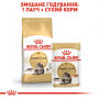 Сухой корм для взрослых кошек "Мейн Кун" Royal Canin Maine Coon Adult, с мясом птицы, 4 кг