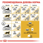 Сухой корм для взрослых кошек "Мейн Кун" Royal Canin Maine Coon Adult, с мясом птицы, 4 кг