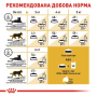 Сухой корм для взрослых кошек породы Персидская Royal Canin Persian Adult с мясом птицы, 4 кг