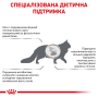 Сухой корм для кошек Royal Canin HEPATIC CAT (поддержка функции печени) 4 кг