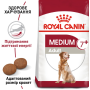 Сухой корм для взрослых собак средних размеров старше 7лет ROYAL CANIN MEDIUM ADULT 7+ (защита кожи, шерсти и зубов) 15 кг