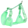 Шлейка с поводком для щенков Trixie S-M мятный 26-34 см х 10 мм х 2м